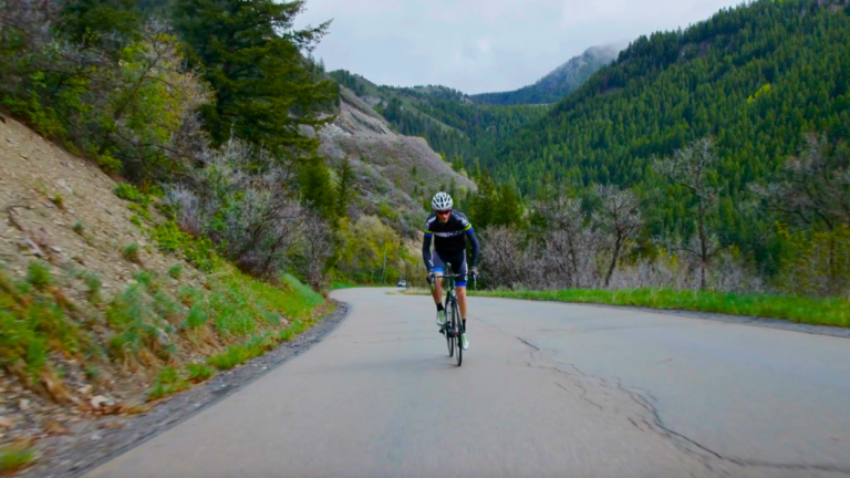 The Importance of Speed in Bike Racing Games